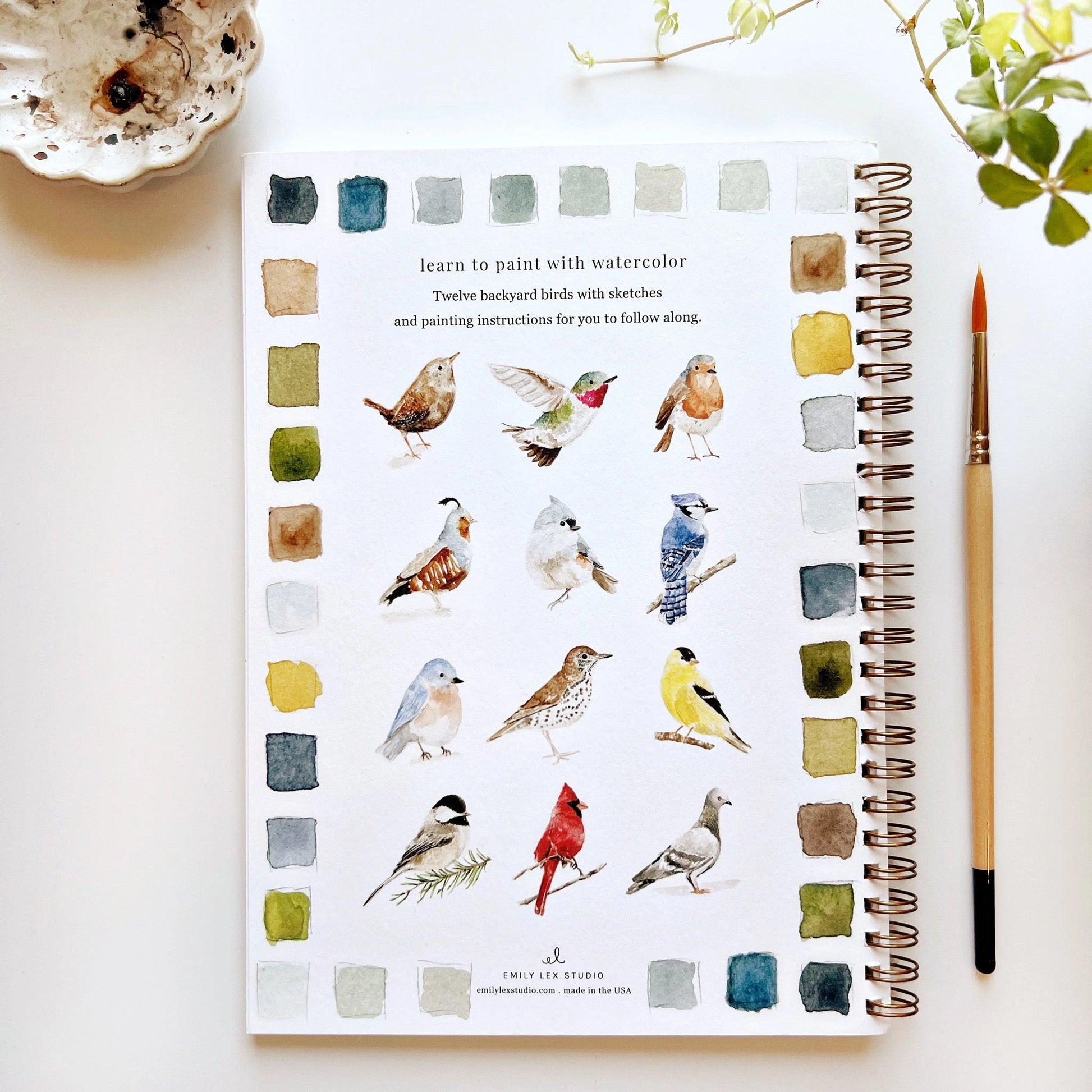 The back cover of the Bird Waterolor Workbook by Emily Lex.