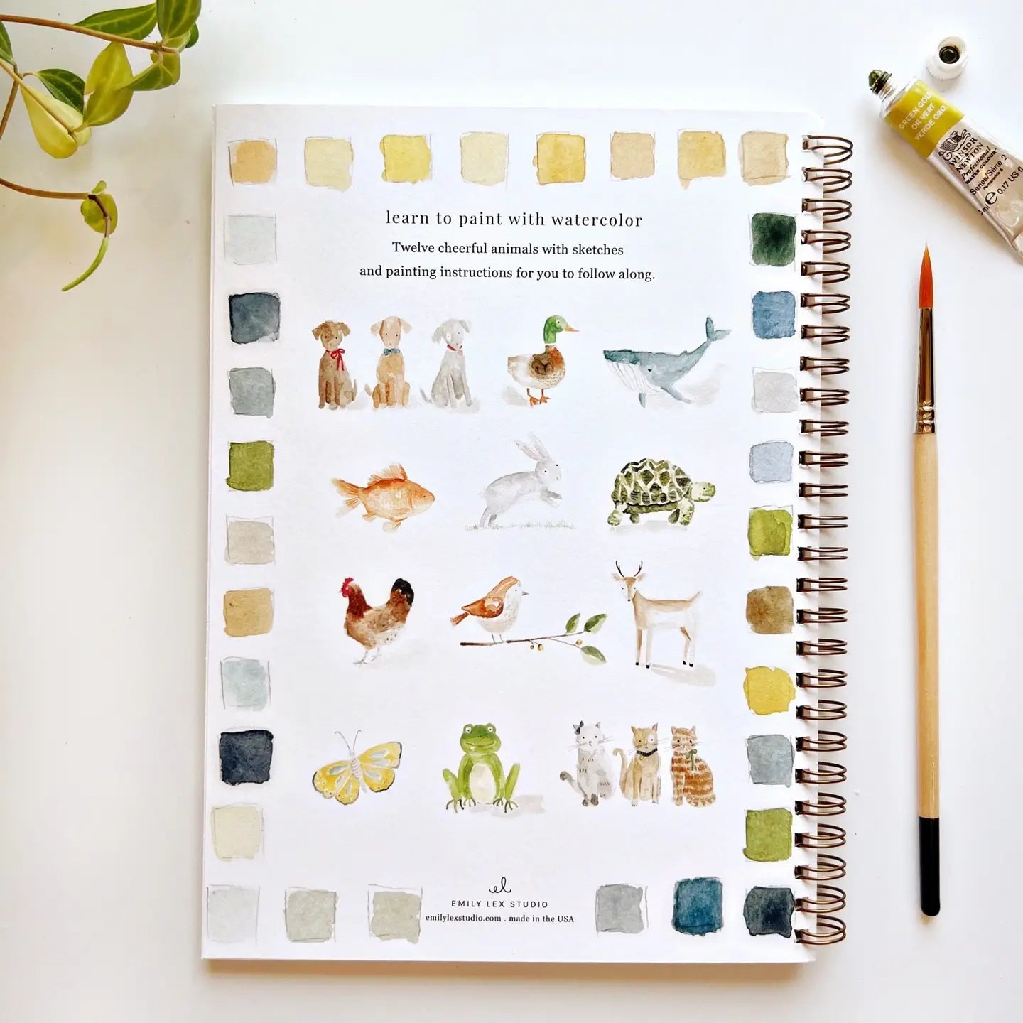 Back cover of Emily Lex Animals Watercolor Workbook displaying playful watercolor animals, book summary, and creative art inspiration.