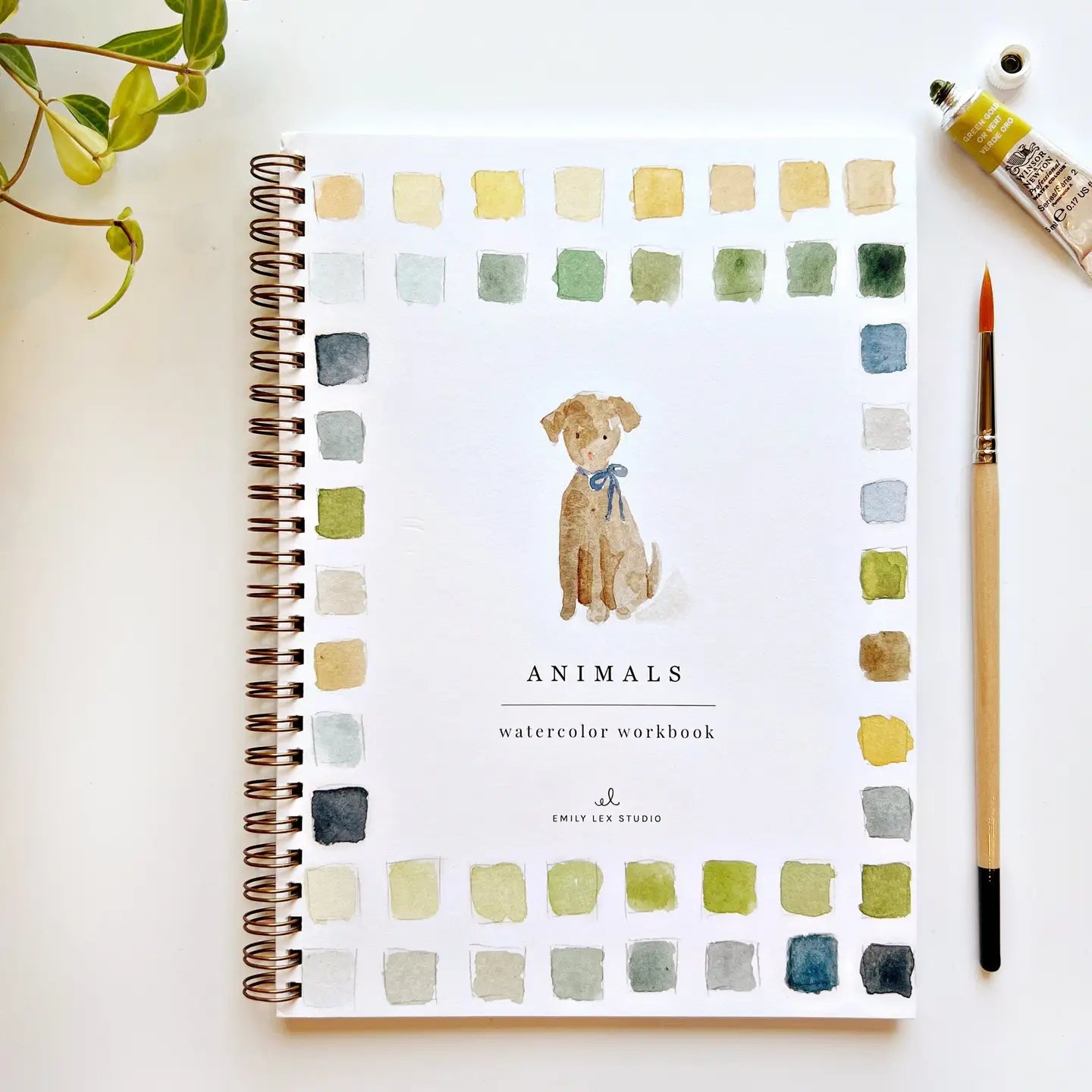 Front cover of Emily Lex Animals Watercolor Workbook featuring charming watercolor animals and creative painting details.