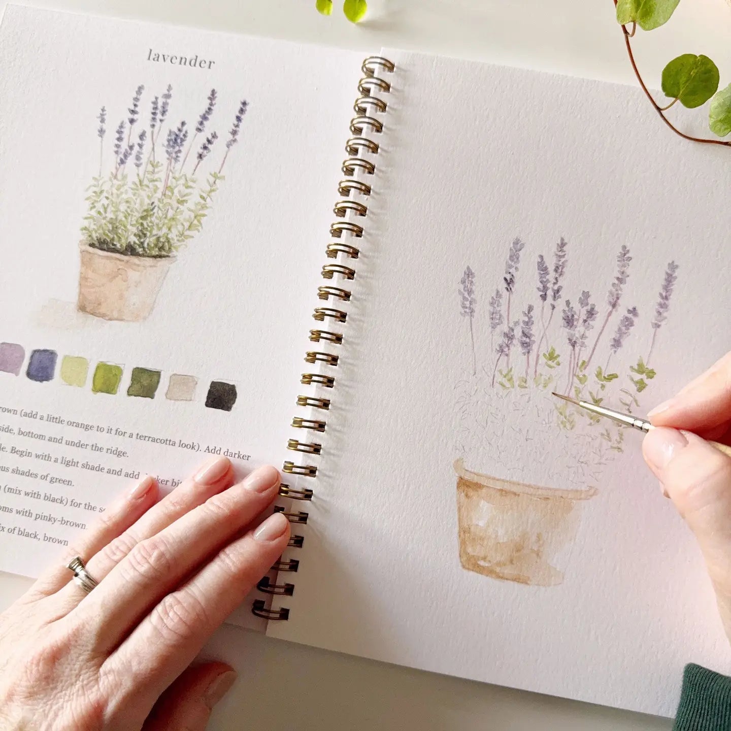 Demo on how to watercolor the lavender plant.