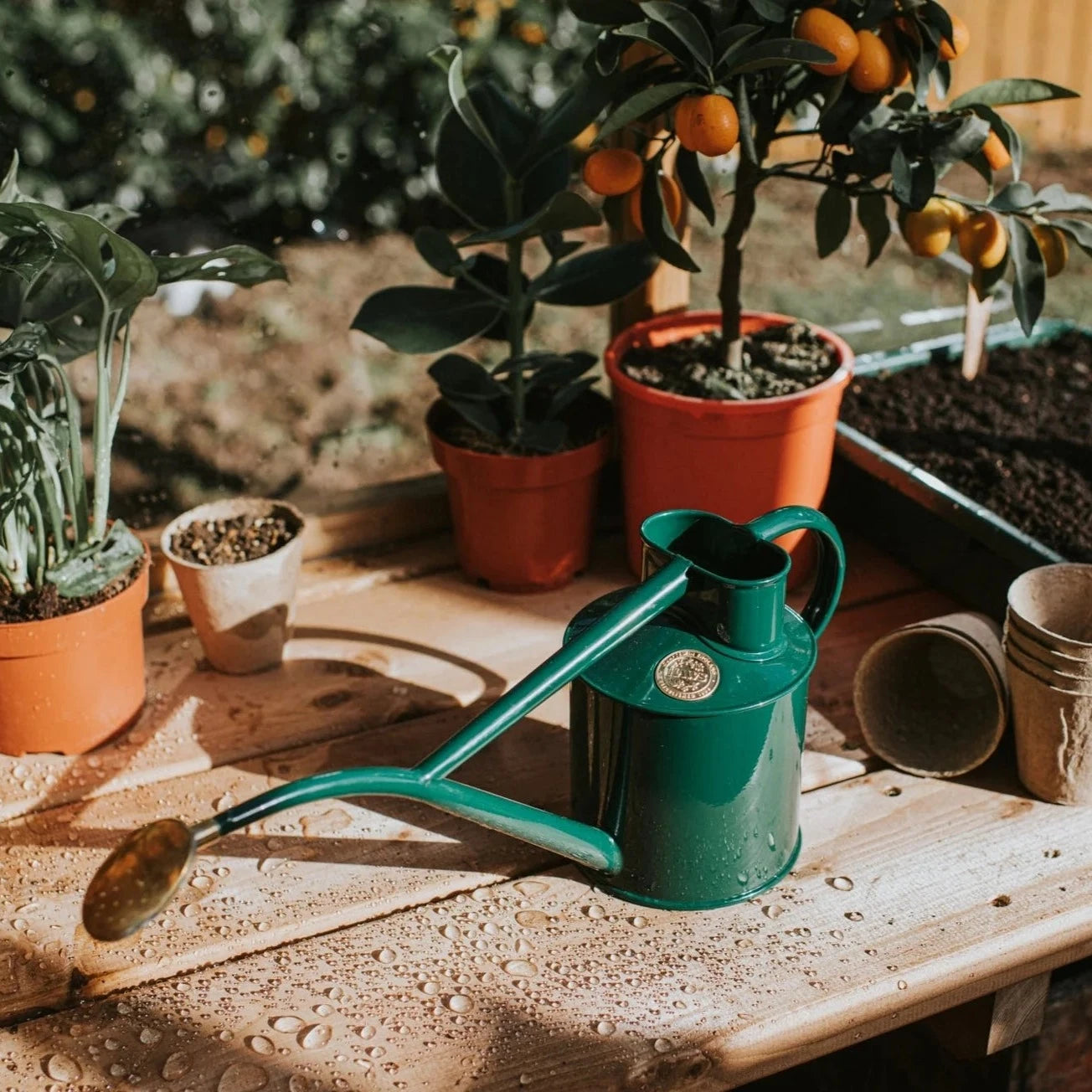 Haws Rolwley Ripple Metal Two Pint Watering Can in British Green shown on a garden bench with plants