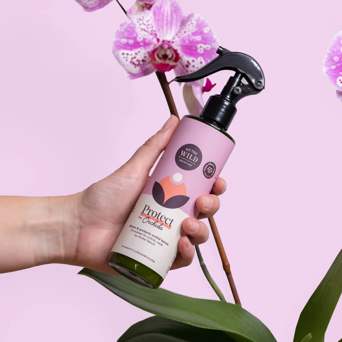 Protect spray for orchids