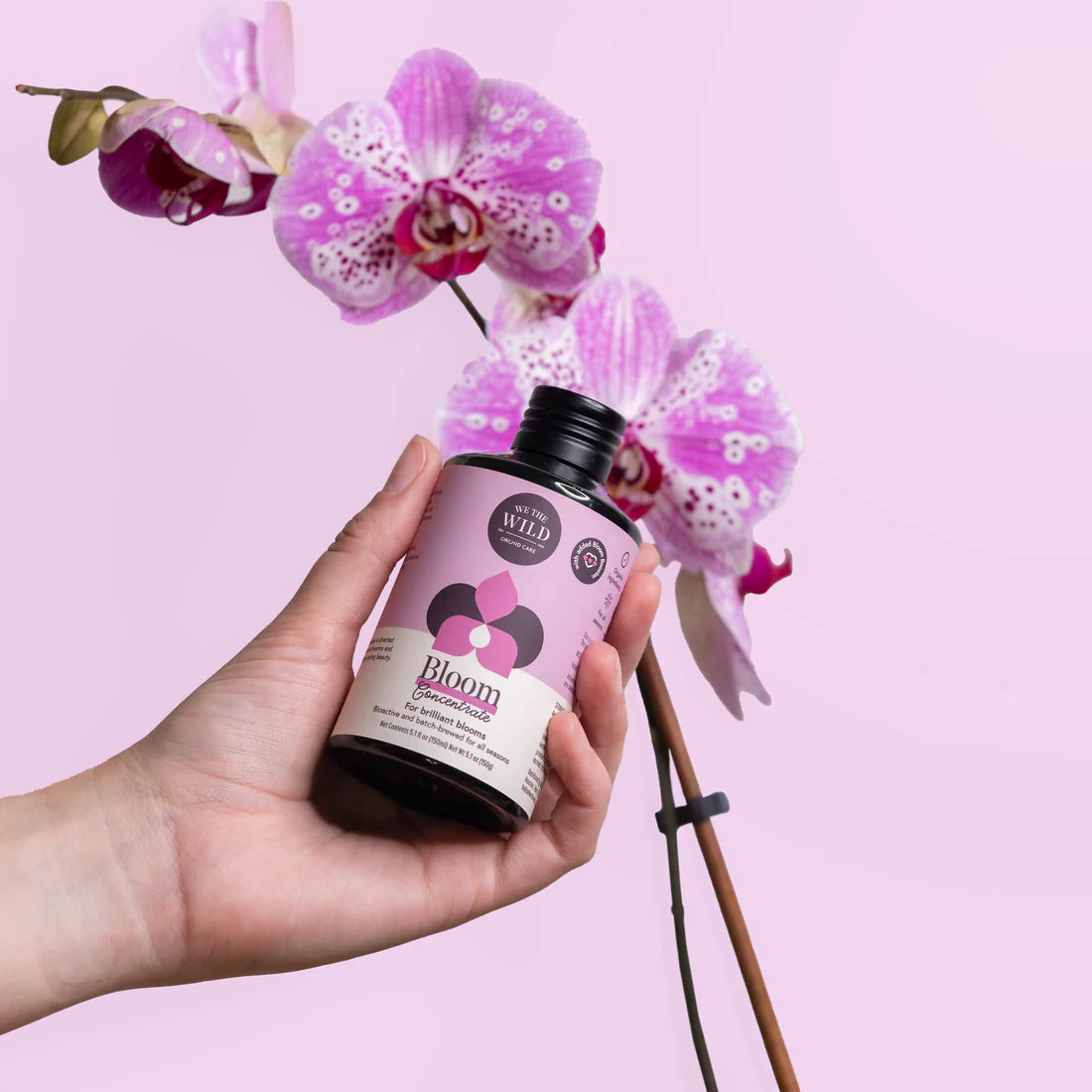 Bloom concentrate for Orchids