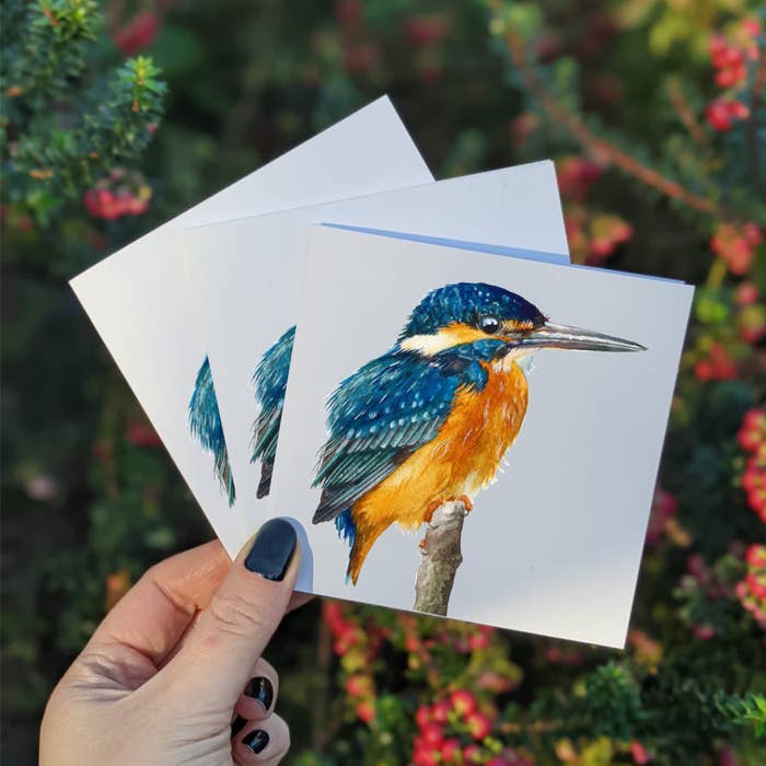 A picture of the mini watercolor Kingfisher greeting card. 