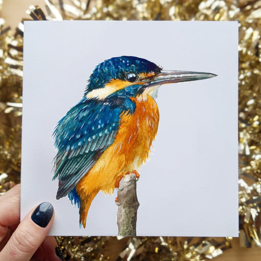 This is a 6 x 6 Large Watercolor of a Kingfisher bird setting on a branch. Beautiful colors of blue and gold and yellow.