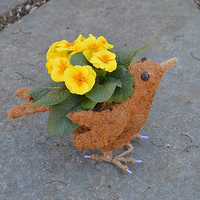 a bird coco fiber topiary planter. The plant goes in the back of the bird in a small pouch