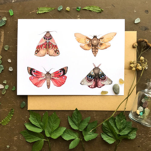 Moths Part 1-Collection Greeting Card