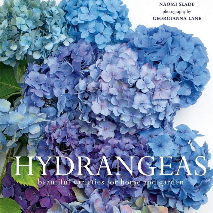 A picture of the cover of the Hydrangeas Book. Beautiful pictures and invaluable information for growing them.