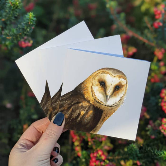 A picture of the watercolored Barn Owl mini greeting cards. Beautiful detail.