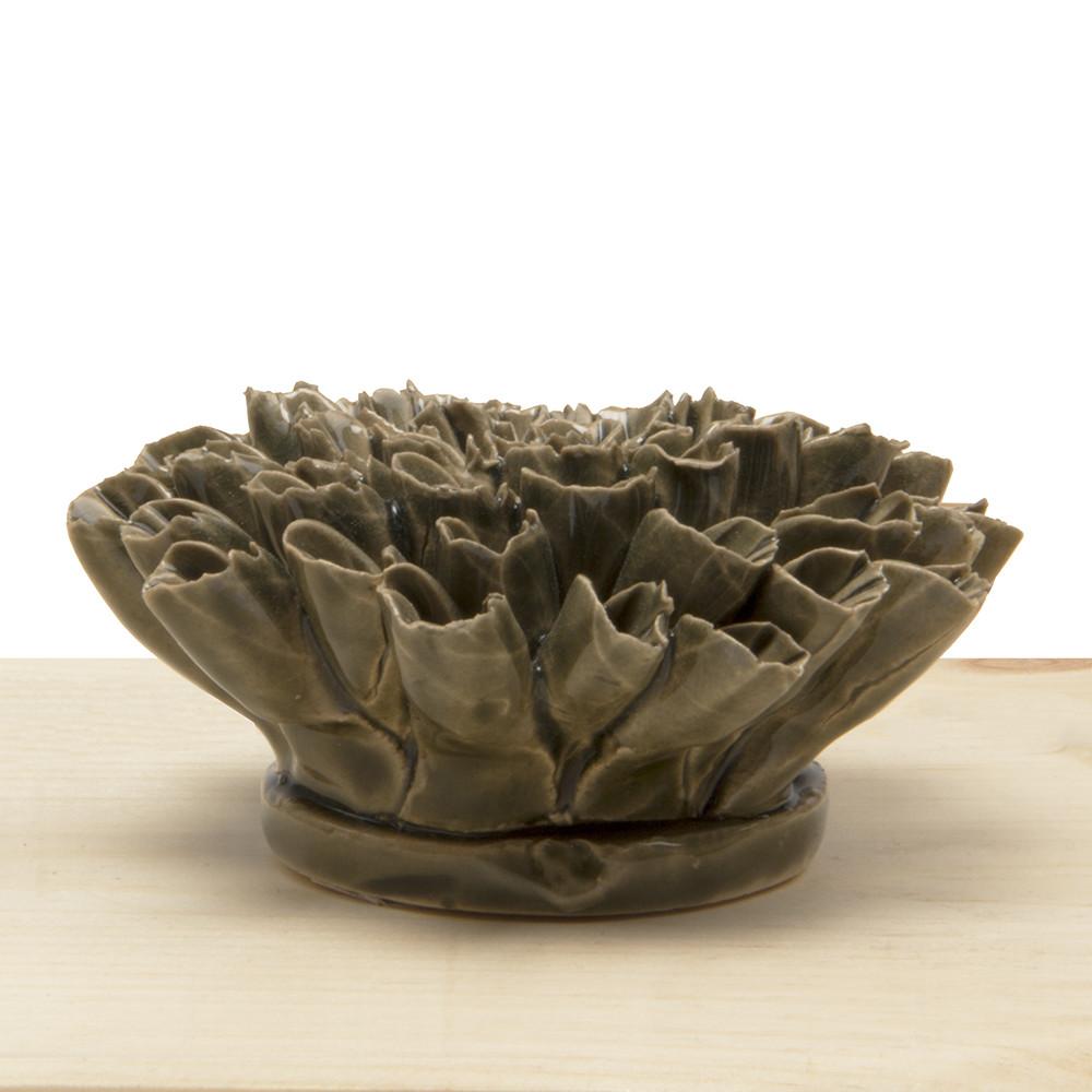 Anemone Olive - Coral 4 Collection