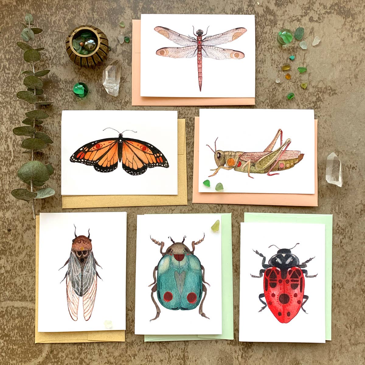 image showing all six bug card designs.