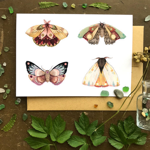 Moth Part 3-Collector Greeting Card