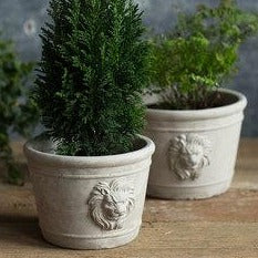 lion head plant pot Lion Head Cement Pottery Planters In Three Sizes