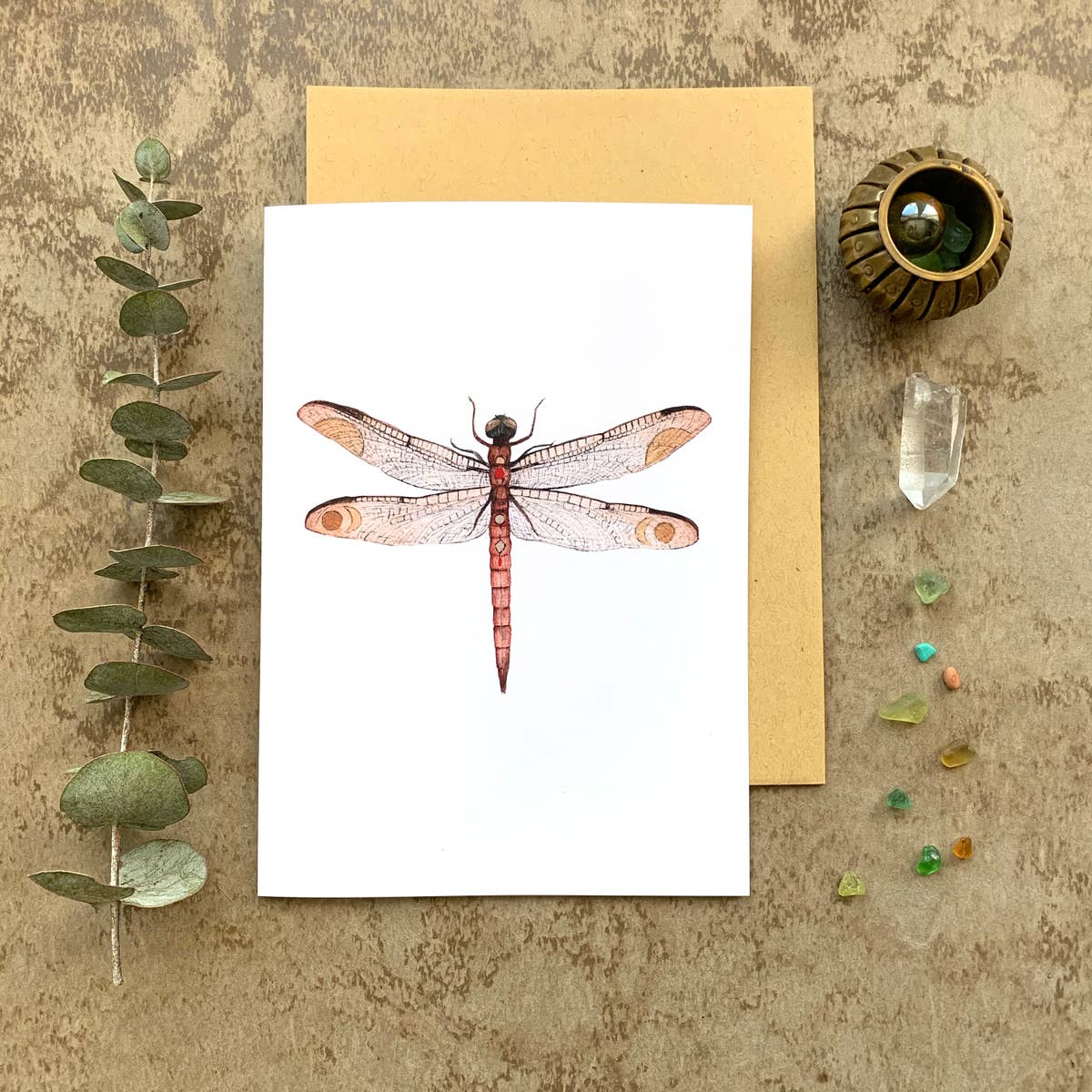 Dragonfly card is detailed and whimsical at the same time.  