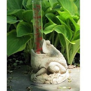 A picture of the frog rain gauge.
