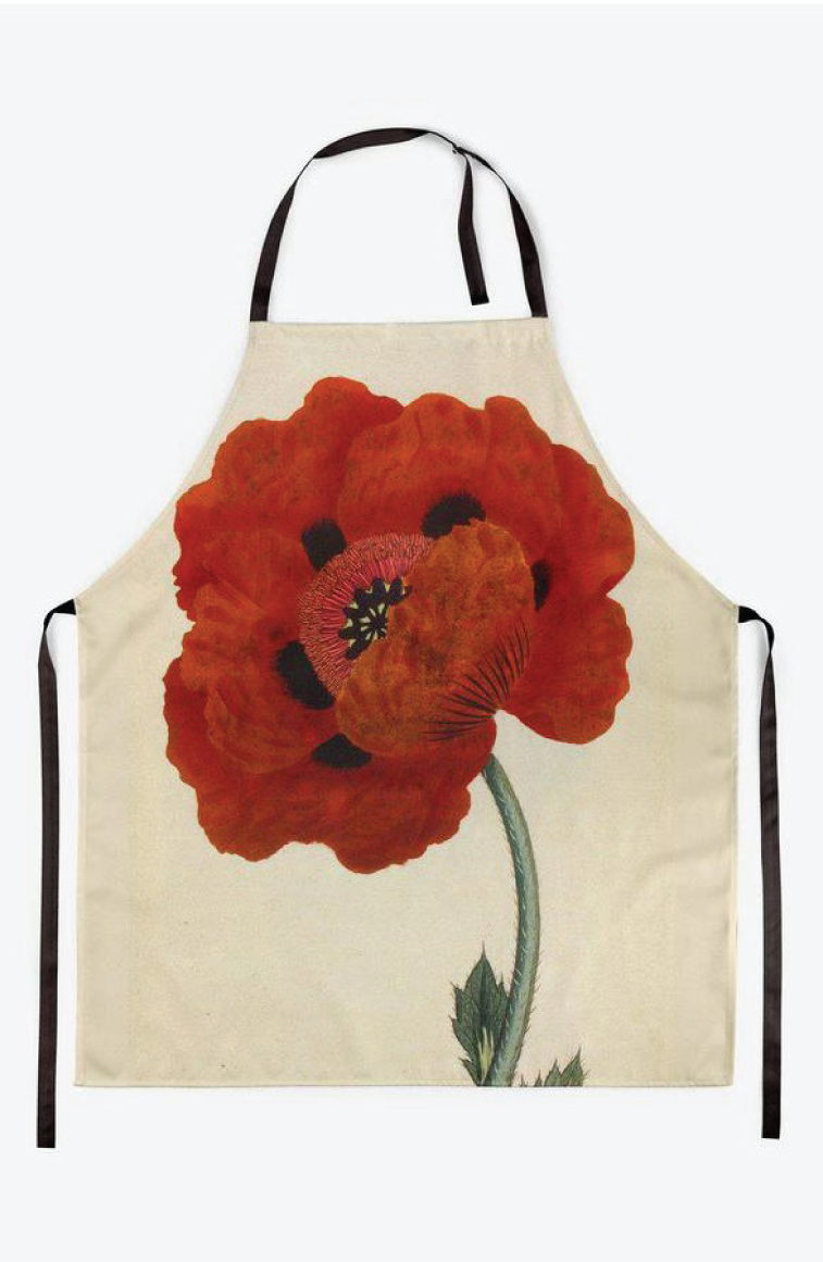 A picture of the Eastern Red Poppy Botanical Print Apron. Striking red poppy.