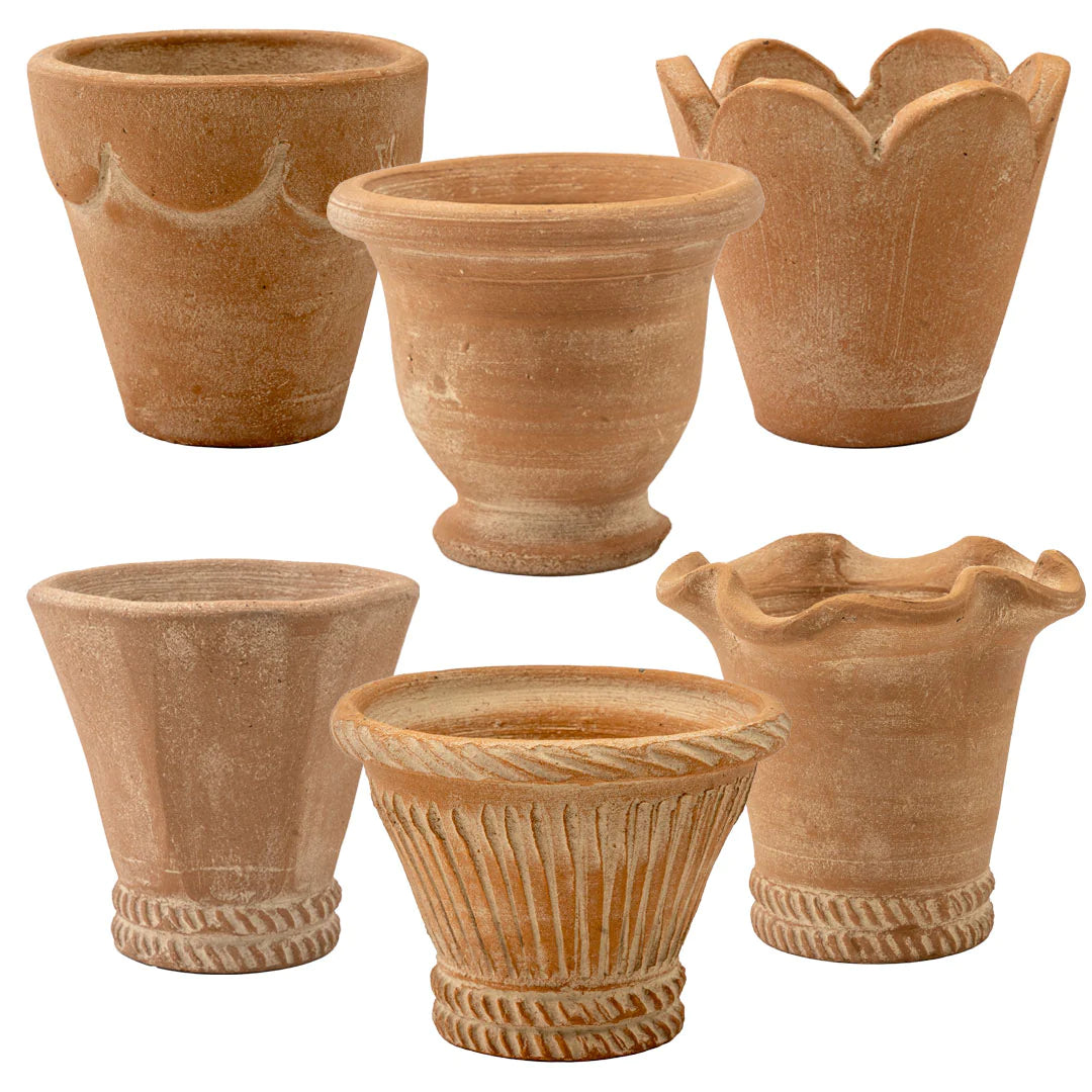 Showing the collection of herb pots in natural.