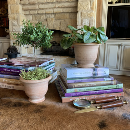 french style pots for plants Potier