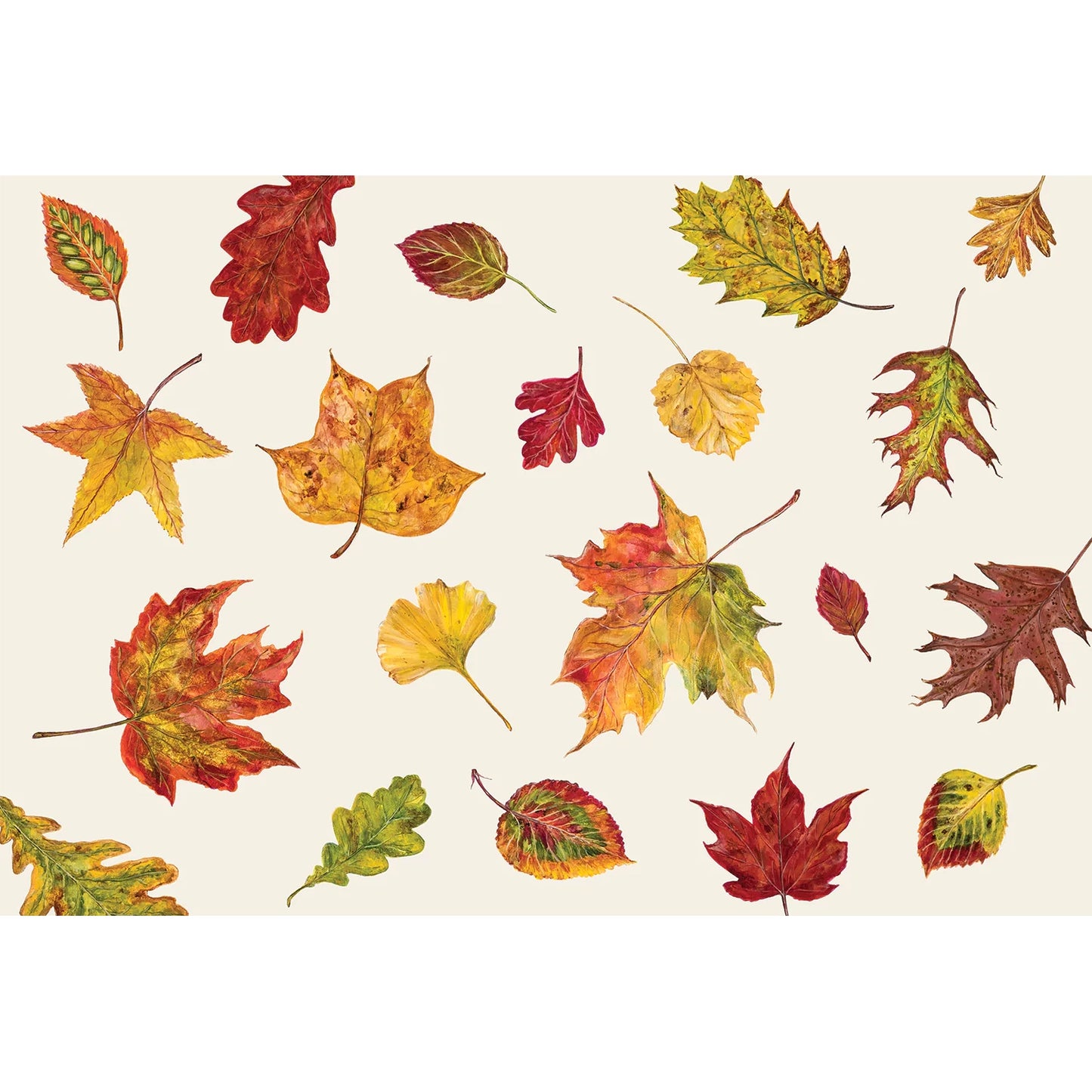 A close up look at the fall Foliage leaf paper placemat