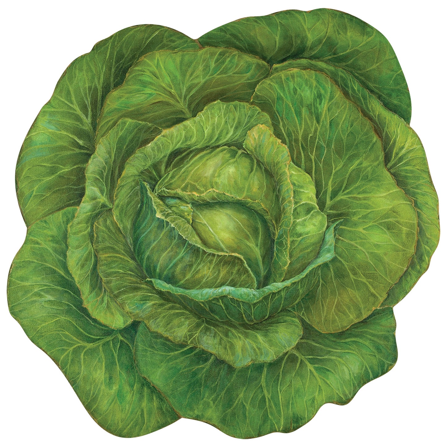 This is a picture of a beautiful bright green cabbage paper placemat that is disposable.