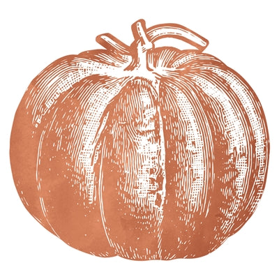 showing a close up of the Pumpkin Placemat