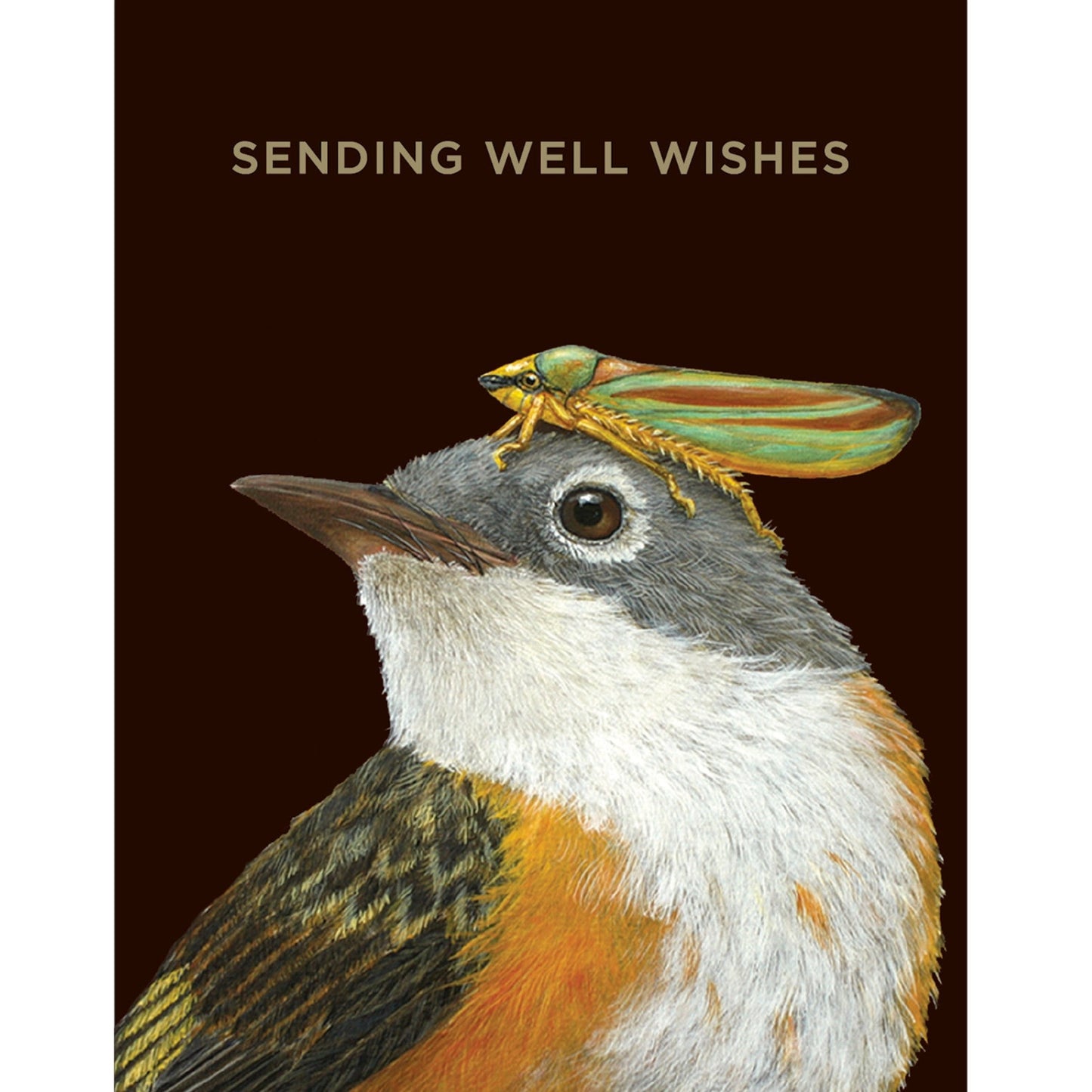 A cute little bird with a katydid on its head. Sending well wishes to all your friends.