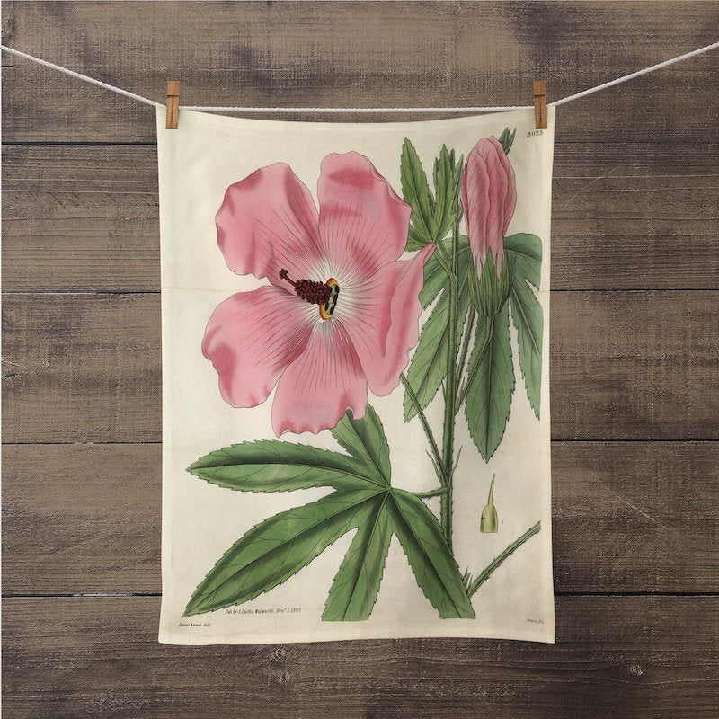 A photograph of the Hibiscus Botanical Print kitchen/tea towel is hanging on a close line with close pins, so you could see the entire print. It is a William Curtis’s Print from 1790-1800