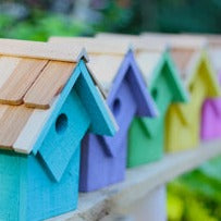 a row of summer beach bird houses in bright colors to choose from.