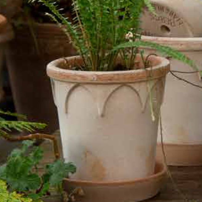 The small Elizabeth pot shown in the natural color Rosa with a small fern growing in it.