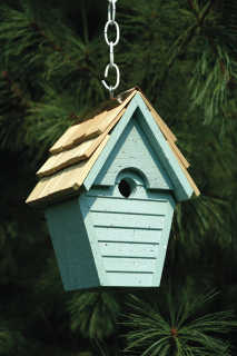 The wren-in-the -wind bird eggs blue bird house