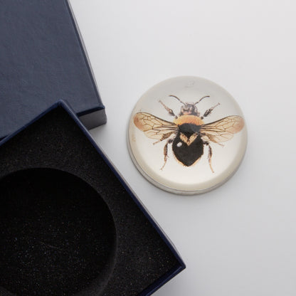 Black and Orange Bee - Crystal Dome Decoupaged Paperweight
