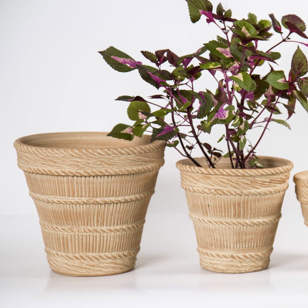 A photo of two French Harvest pots. One large and one medium in natural clay color.