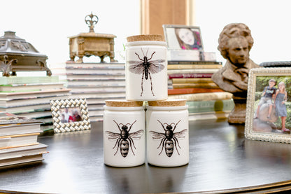Citronella Eucalyptus Candle   -    Mosquito Design