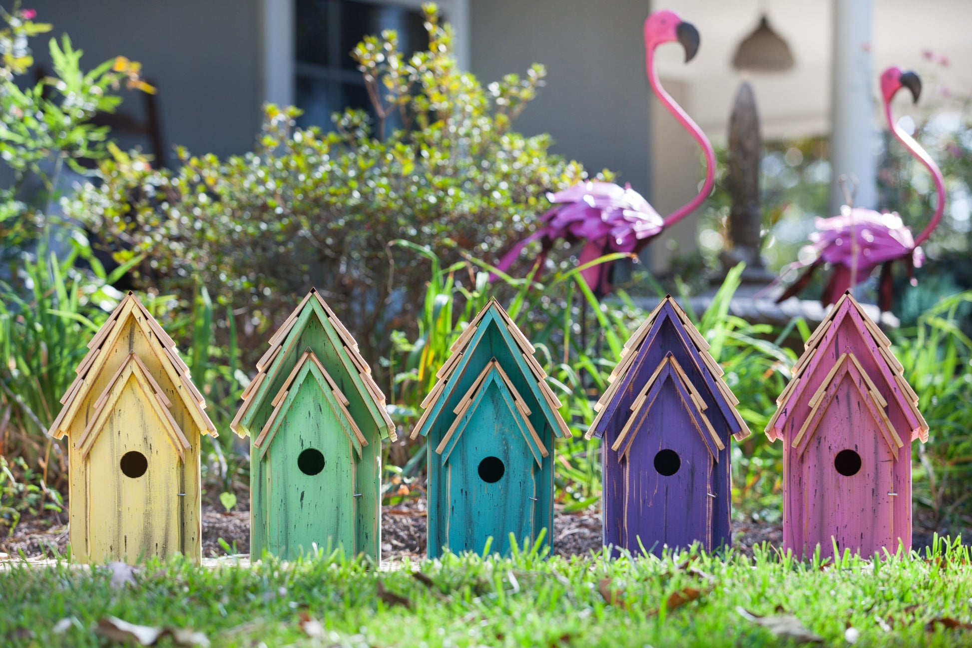 A row of brightly colored bluebird houses