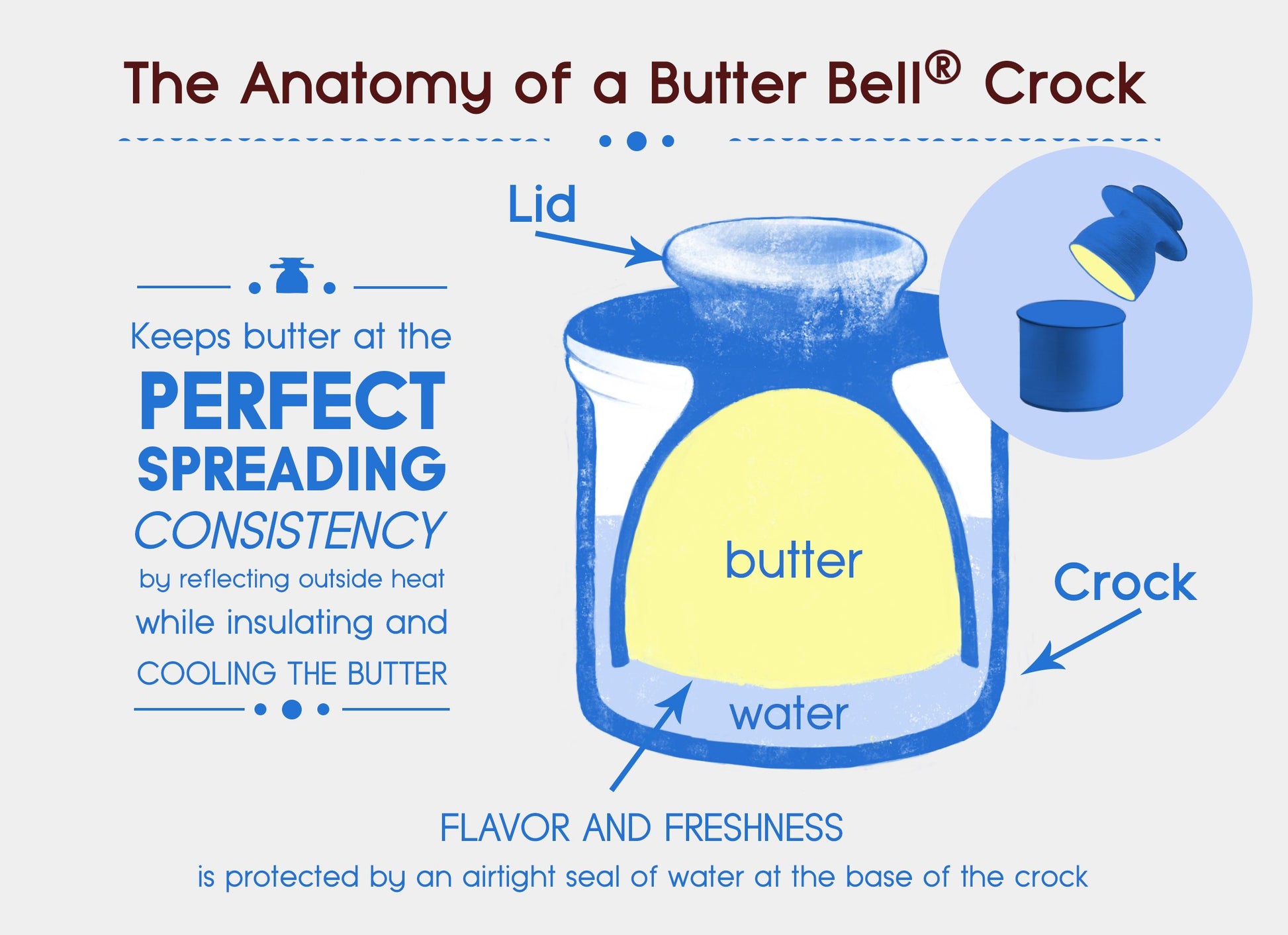 a chart showing the anatomy of a butter bell crock and how it works.