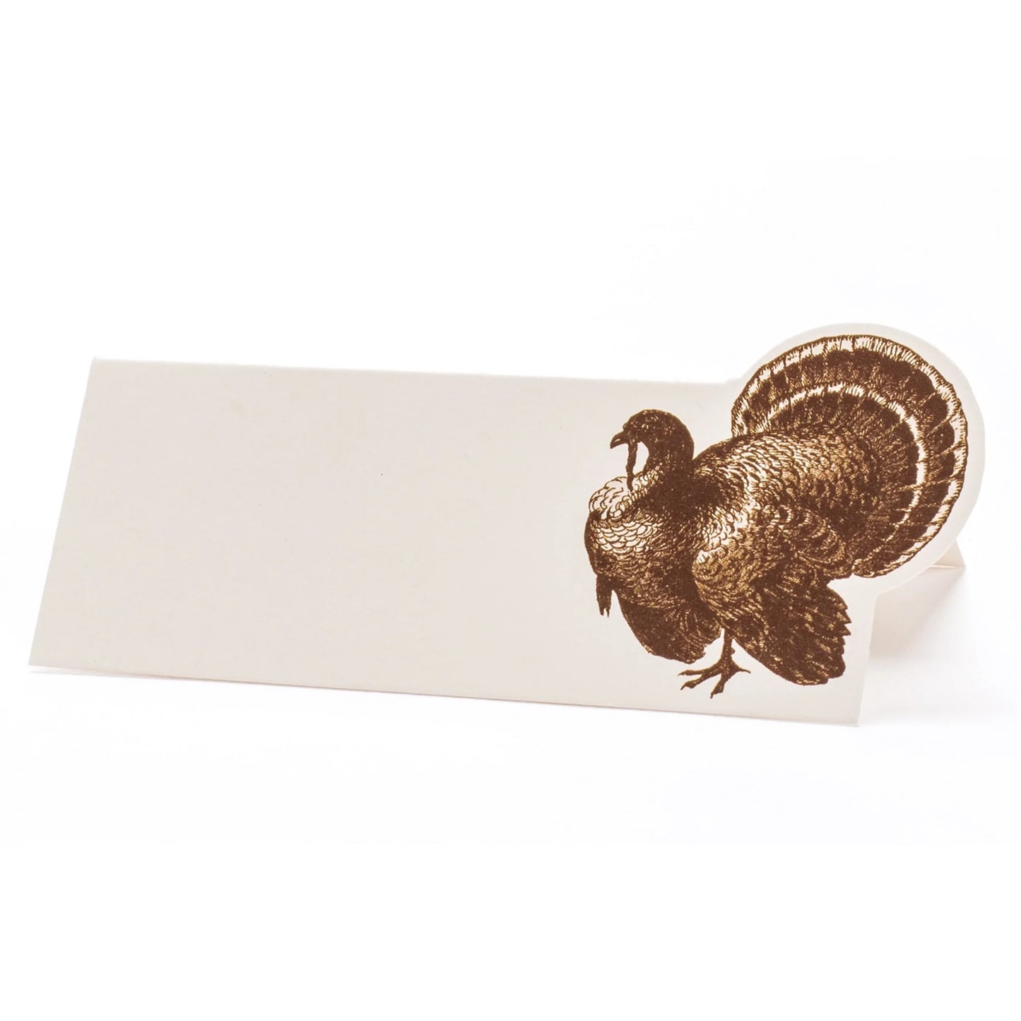 'A close up of the Turkey fold place card
